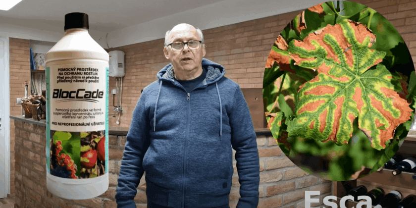 Hnojivo, Esca, BlocCade a kontrola vína