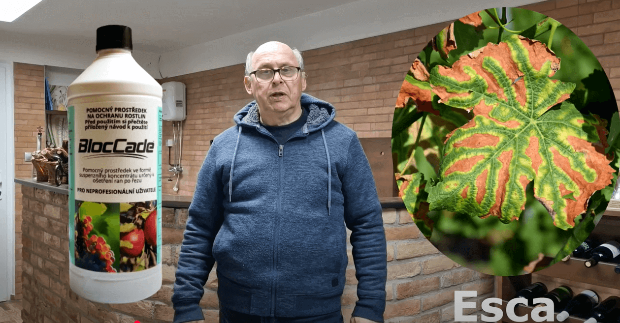 Hnojivo, Esca, BlocCade a kontrola vína