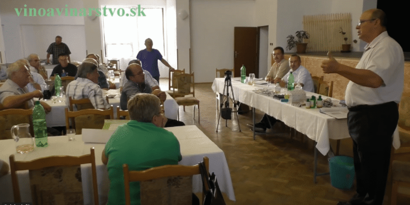 Moderné Vinárstvo pre Malých Vinohradníkov: Komplexný Sprievodca na Základe Prednášky Ing. Petra Porubského (Ročník 2015)