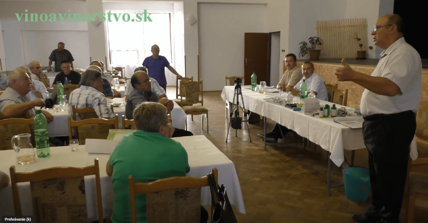 Moderné Vinárstvo pre Malých Vinohradníkov: Komplexný Sprievodca na Základe Prednášky Ing. Petra Porubského (Ročník 2015)