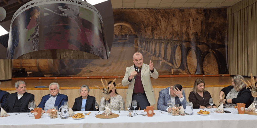 Mladé vina Nemčiňany 2025