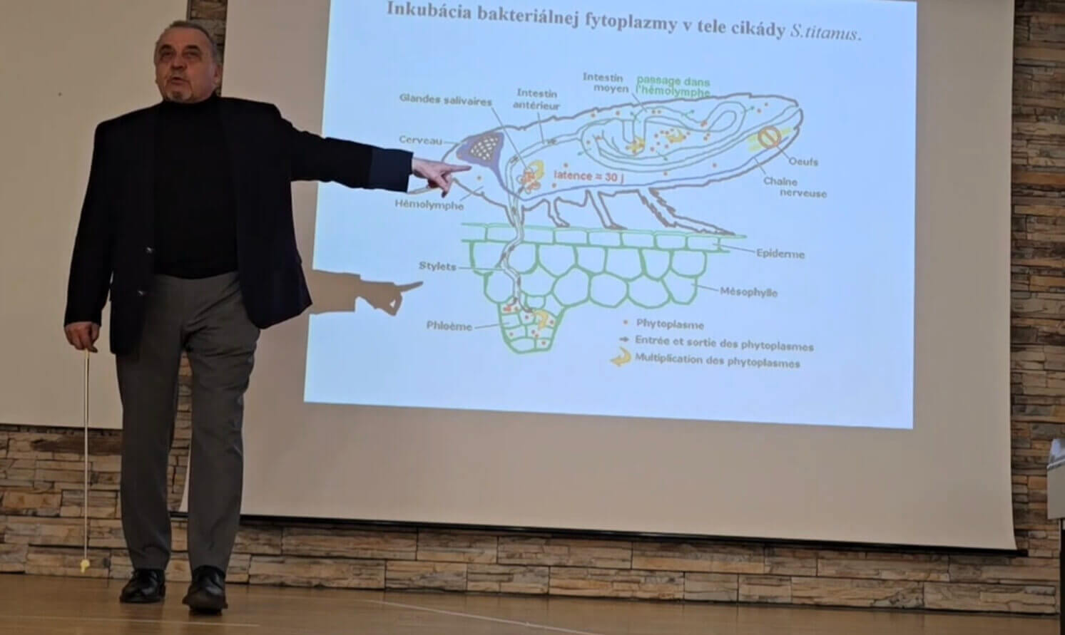 Na Zlaté žltnutie viniča upozorňoval roky