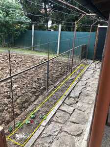 image0